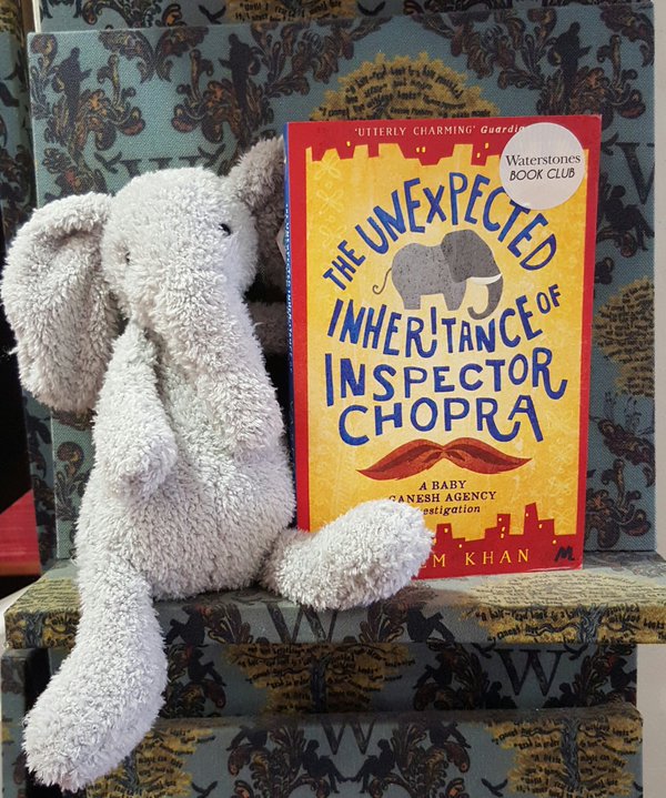 grey-elephant-with-cover