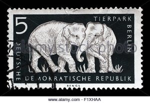 stamp-printed-in-gdr-shows-elephant-berlin-german-zoological-garden-f1xhaa