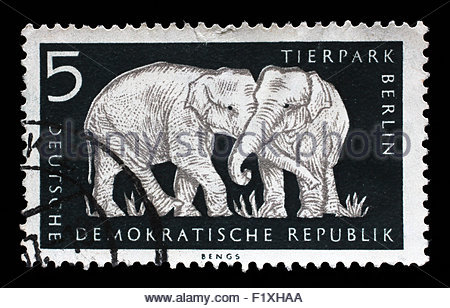 stamp-printed-in-gdr-shows-elephant-berlin-german-zoological-garden-f1xhaa